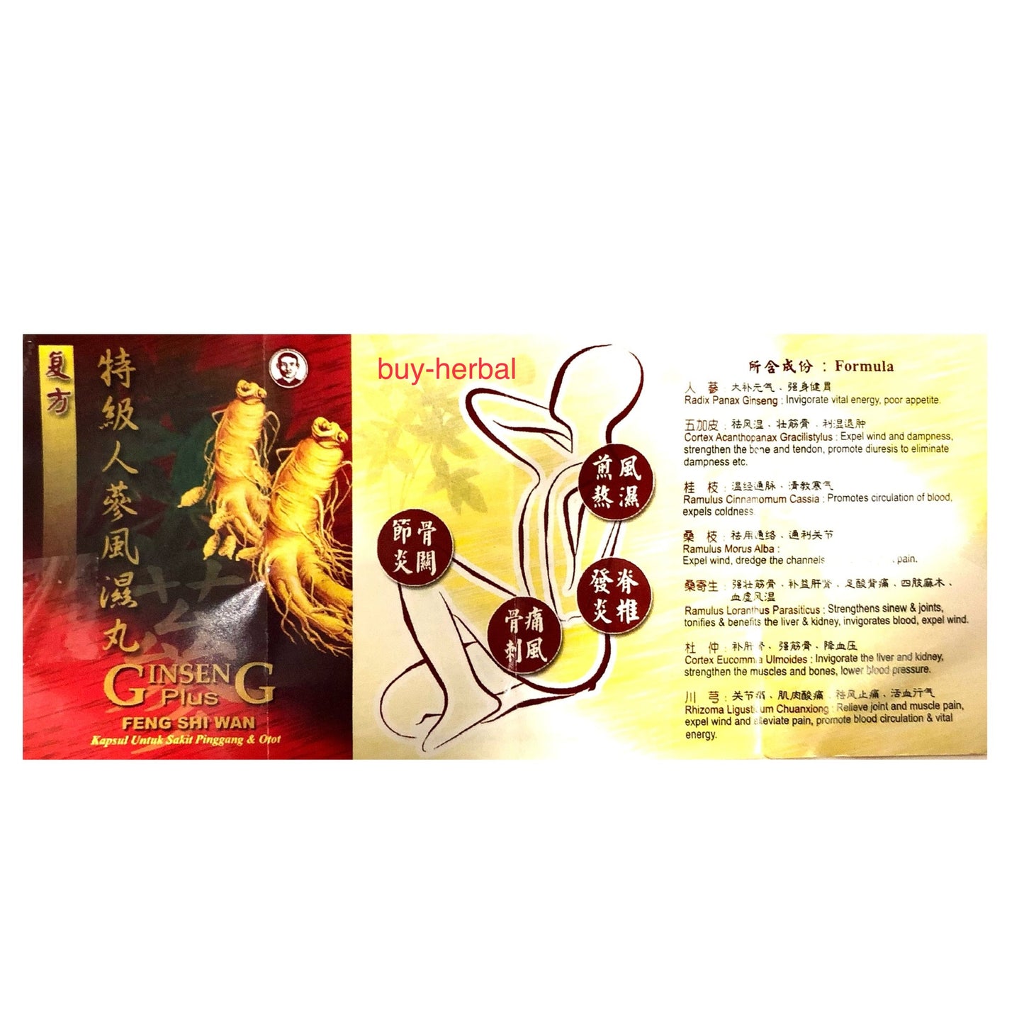 Ginseng Plus Feng Shi Wan (Relief for Rhuematism, Gout, Arthritis)