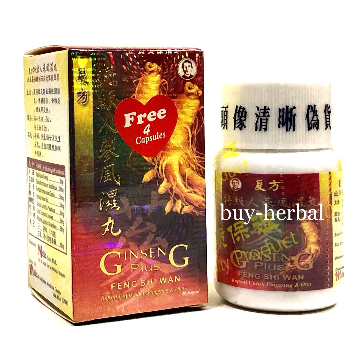 Ginseng Plus Feng Shi Wan (Relief for Rhuematism, Gout, Arthritis)