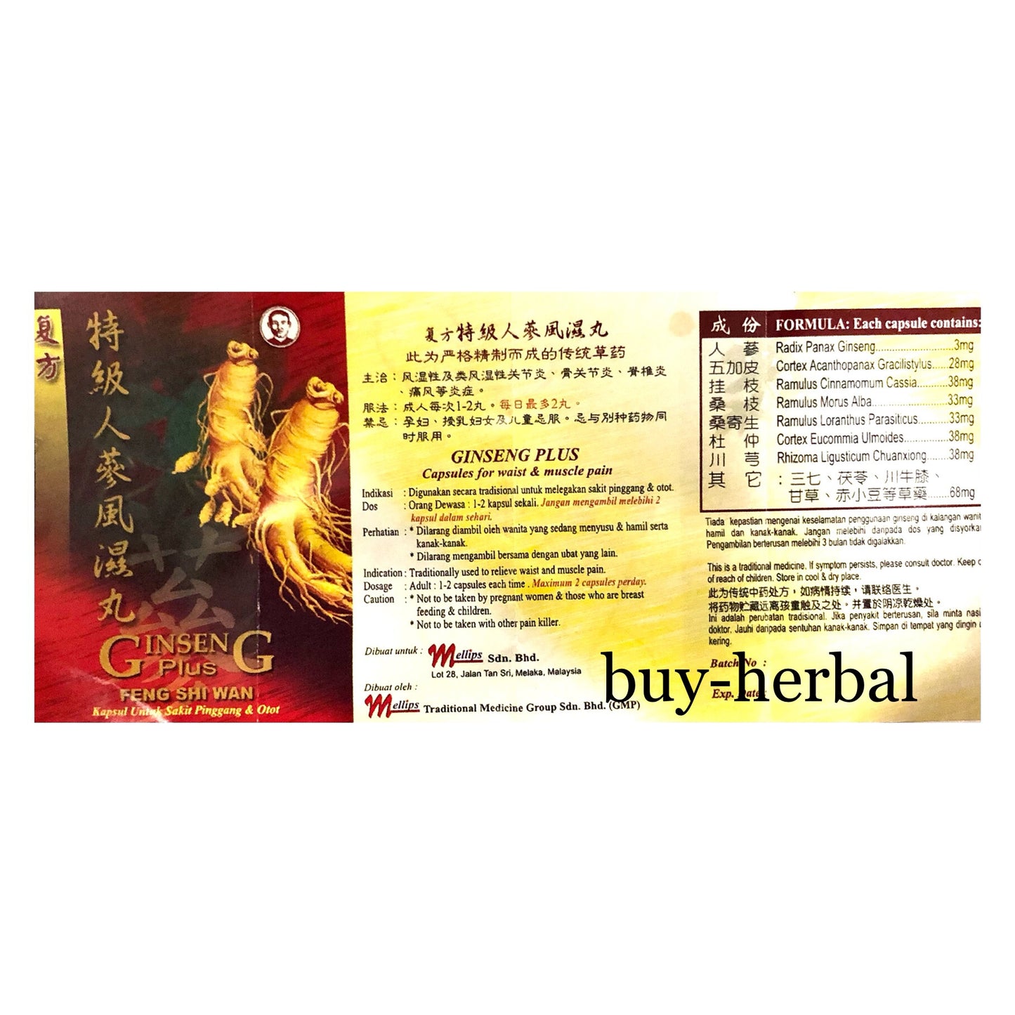 Ginseng Plus Feng Shi Wan (Relief for Rhuematism, Gout, Arthritis)